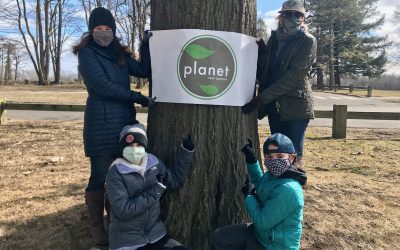 Native Tree Planting