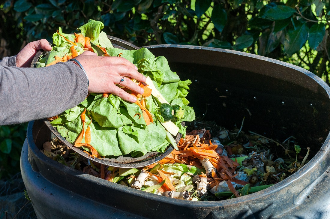 Home Composting Composting the Kitchen Waste